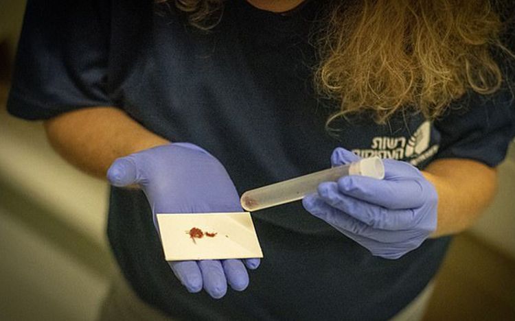 Найдено гигантское сооружение, построенное библейским царем Соломоном. Какие еще священные артефакты обнаружили ученые?